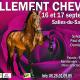 2023-09-Follement-Cheval-11°éd.-Salies-du-Salat-31260 (v1)
