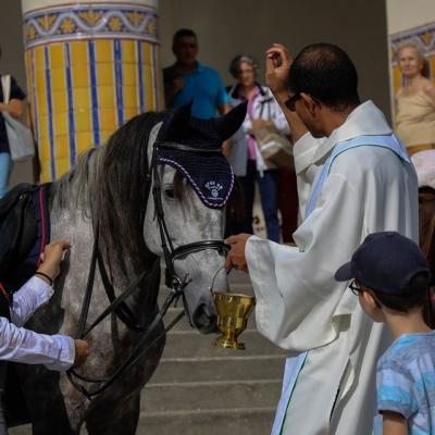 Bénédiction des chevaux ©2019FC (2)