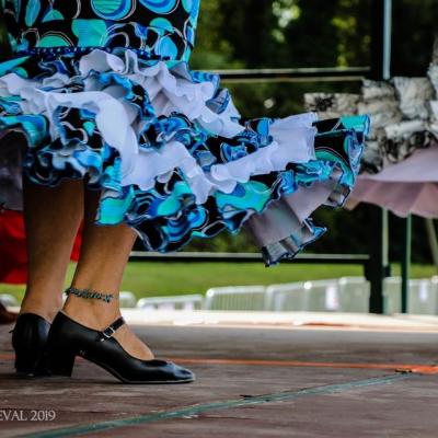 Troupes de danses: A Bailar ! et Sol y Sombra Andaluz ©2019FC (1)