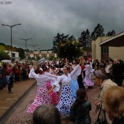 Troupes de danses: A Bailar ! et Sol y Sombra Andaluz ©2019FC (4)