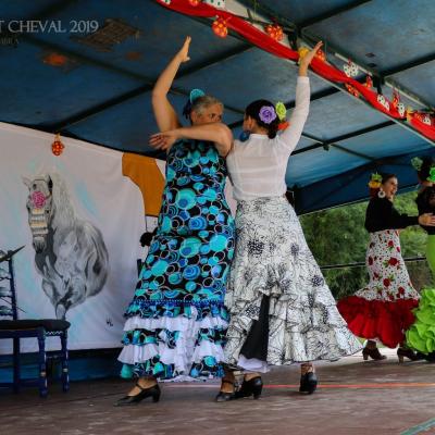 Troupes de danses: A Bailar ! et Sol y Sombra Andaluz ©2019FC (7)