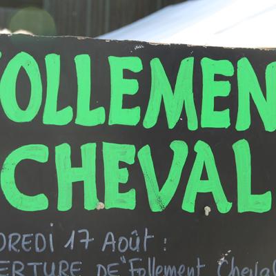 Follement-Cheval-9730©2012FCpcpc
