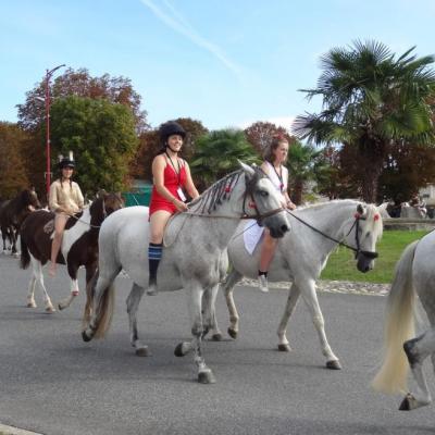 Parade-costumée-Salies-du-Salat©2018FCpcpc (2847)