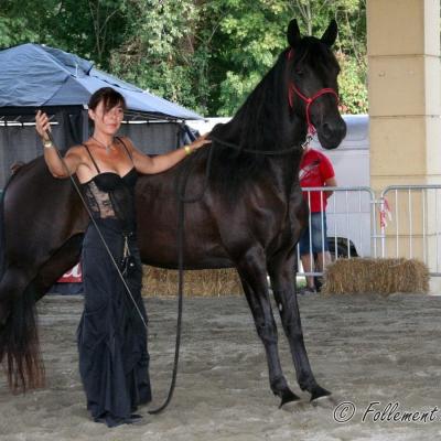 Spectacle-équestre-Annabelle-Follement-Cheval-2021FC (4)