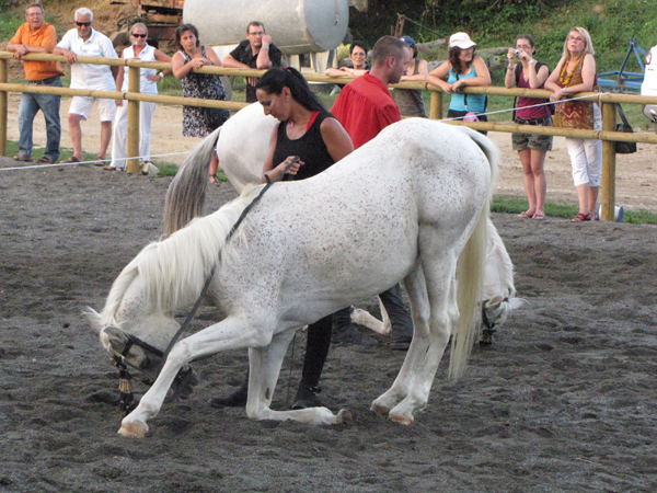 Spectacle-Equestre-Ecurie-Estelucia-0238©2012FCpcpc