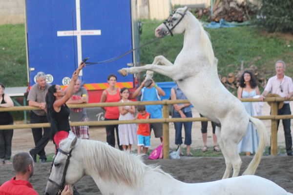 Spectacle-Equestre-Ecurie-Estelucia-7572©2012FCpcpc