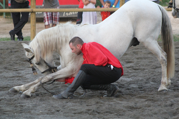 Spectacle-Equestre-Ecurie-Estelucia-7630©2012FCpcpc