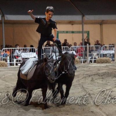 Spectacle-Equestre-Ecurie_Estelucia-Esteban©2018FCpcpc