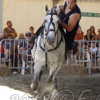 Spectacle-Equestre+Jordan Lebon©2018FCpcpc (9)