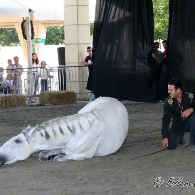 Spectacle-équestre-Jordan.Lebon-2021FC (6)