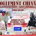 2021-09-Follement-Cheval-9°éd.-Salies-du-Salat-31260 (v3)