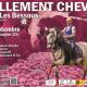 2024-09-Follement-Cheval-12°éd.-Cassagne-31260 (v1)