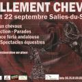 Affiche-Follement-Cheval-8°-21+22-09-2019-31260-Salies-du-Salat
